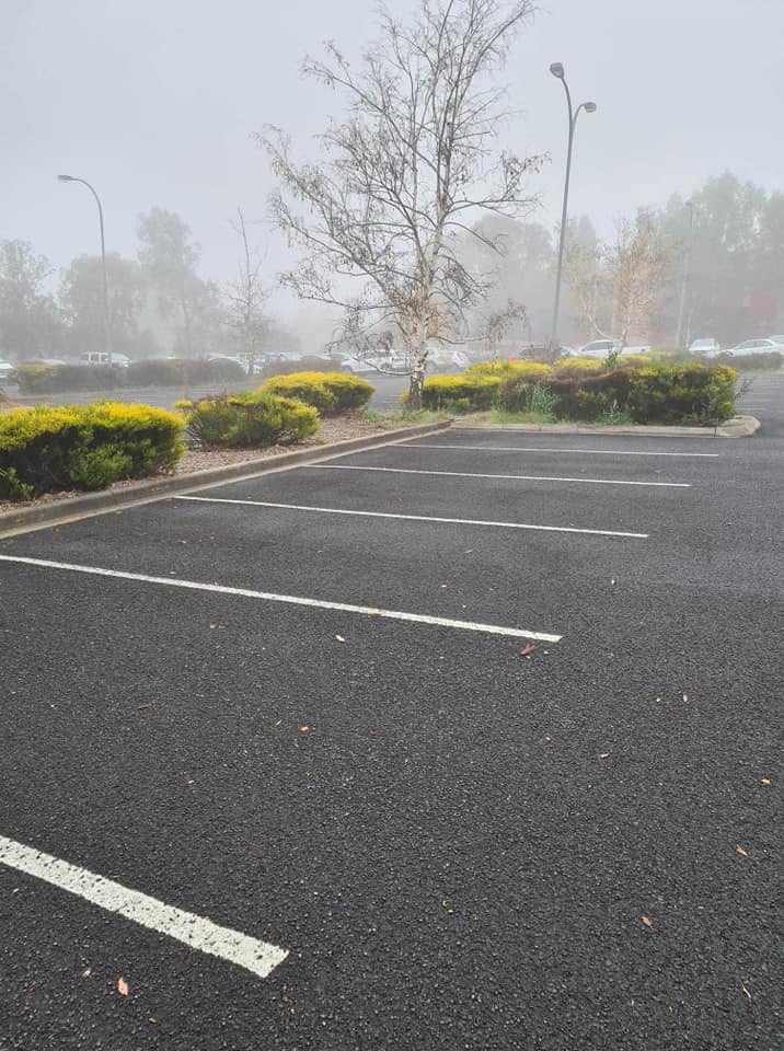 Freshly mulched garden bed at a commercial car park