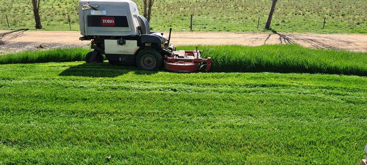 Commercial mower cutting a large rural paddock