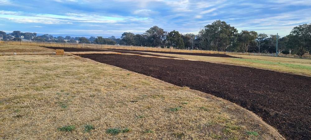 Garden bed landscaping on a rural property with mountain views