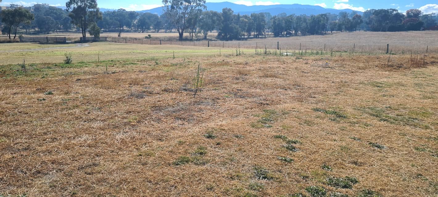 Slashed dry paddock on a rural Central West property